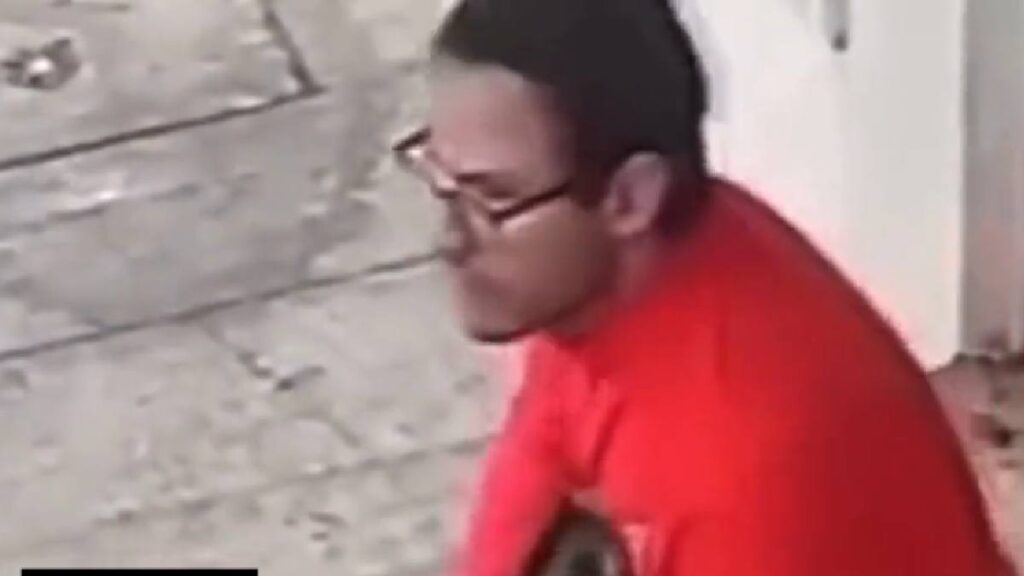 Caricias y golpes: captan a sujeto agrediendo a su perro en CDMX