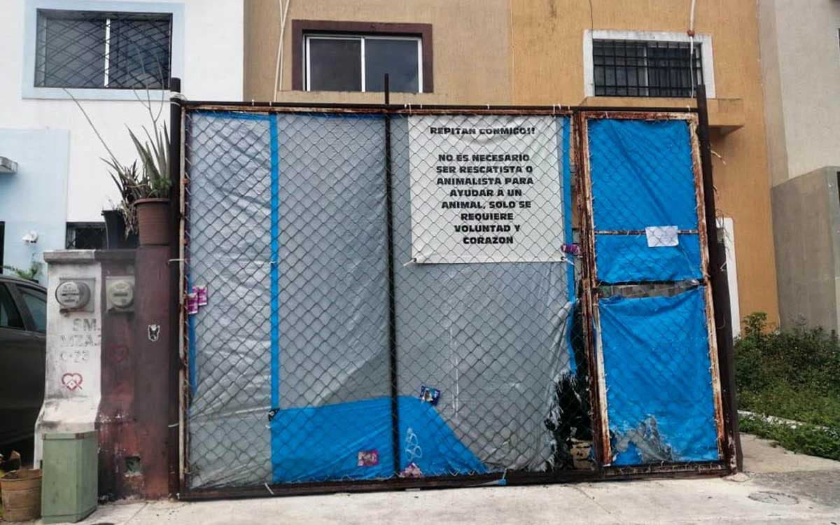 Encuentran 23 perros muertos en supuesto refugio animal de Cancún