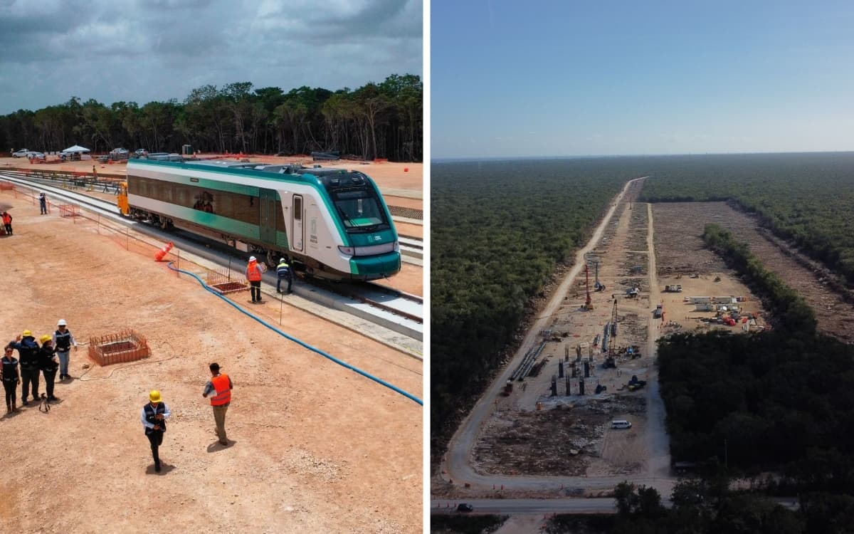 Tribunal Internacional de Derechos de Naturaleza concluye que México cometió ecocidio y etnocidio con Tren Maya