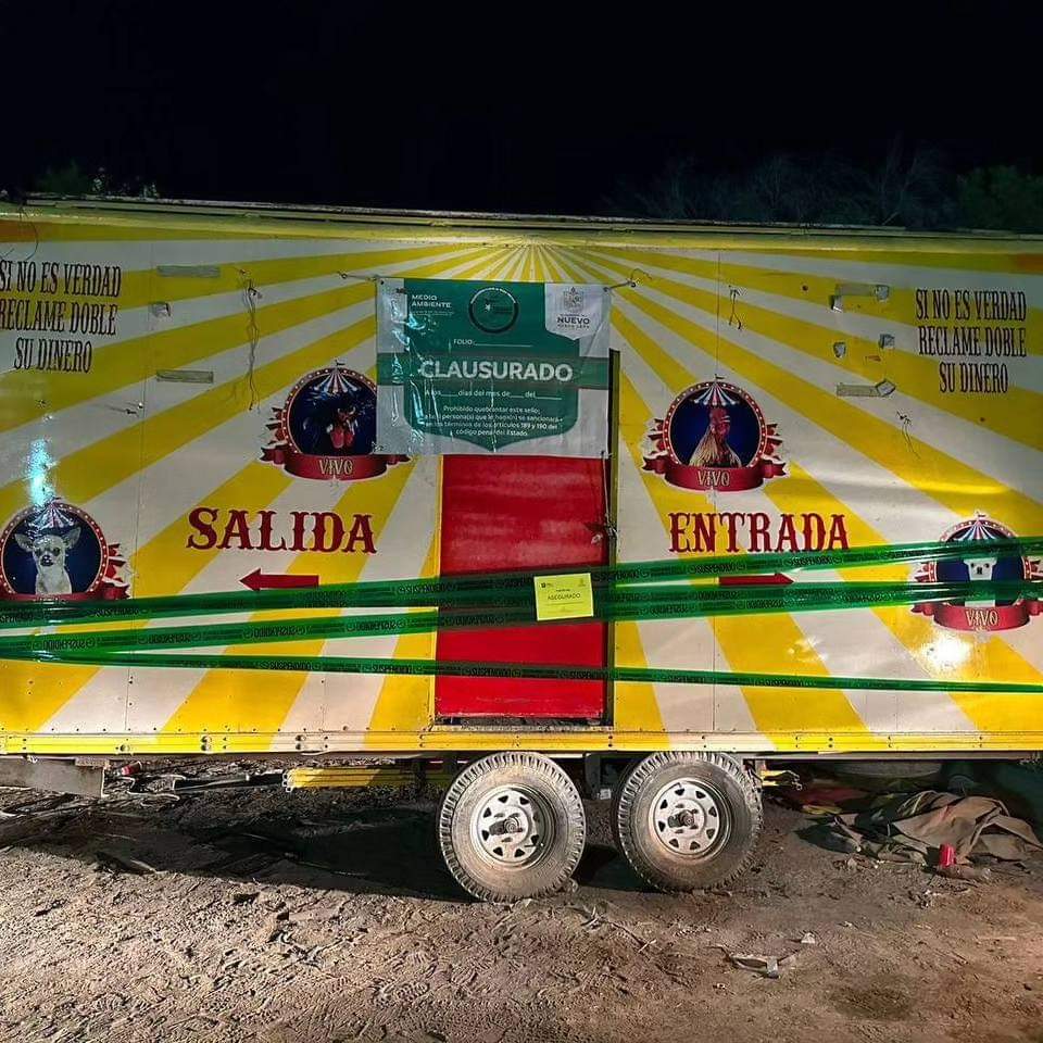 Clausuran circo que exhibía animales con malformaciones en Sabinas, Nuevo León