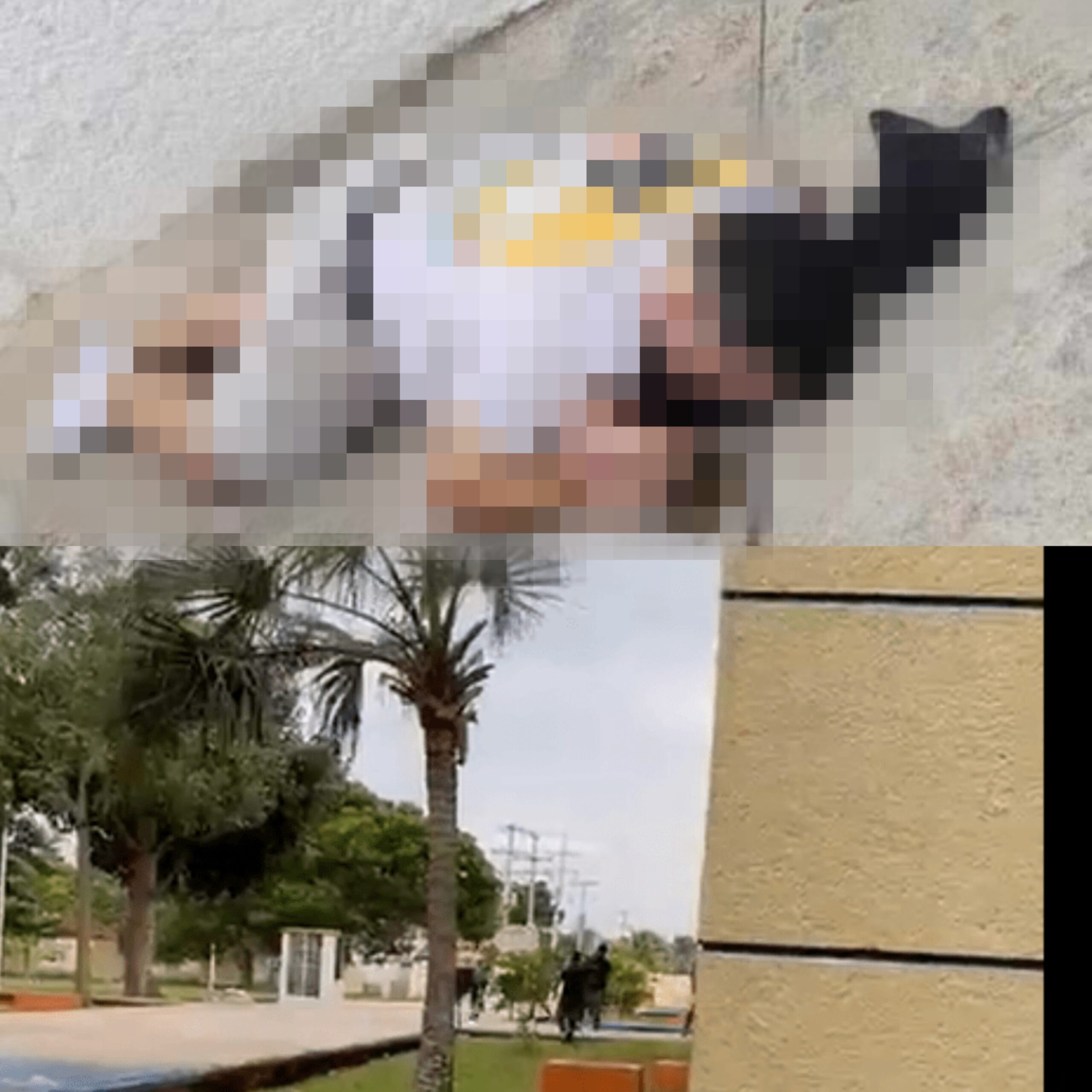 Asesinan a hijo de exdiputado local en Chetumal