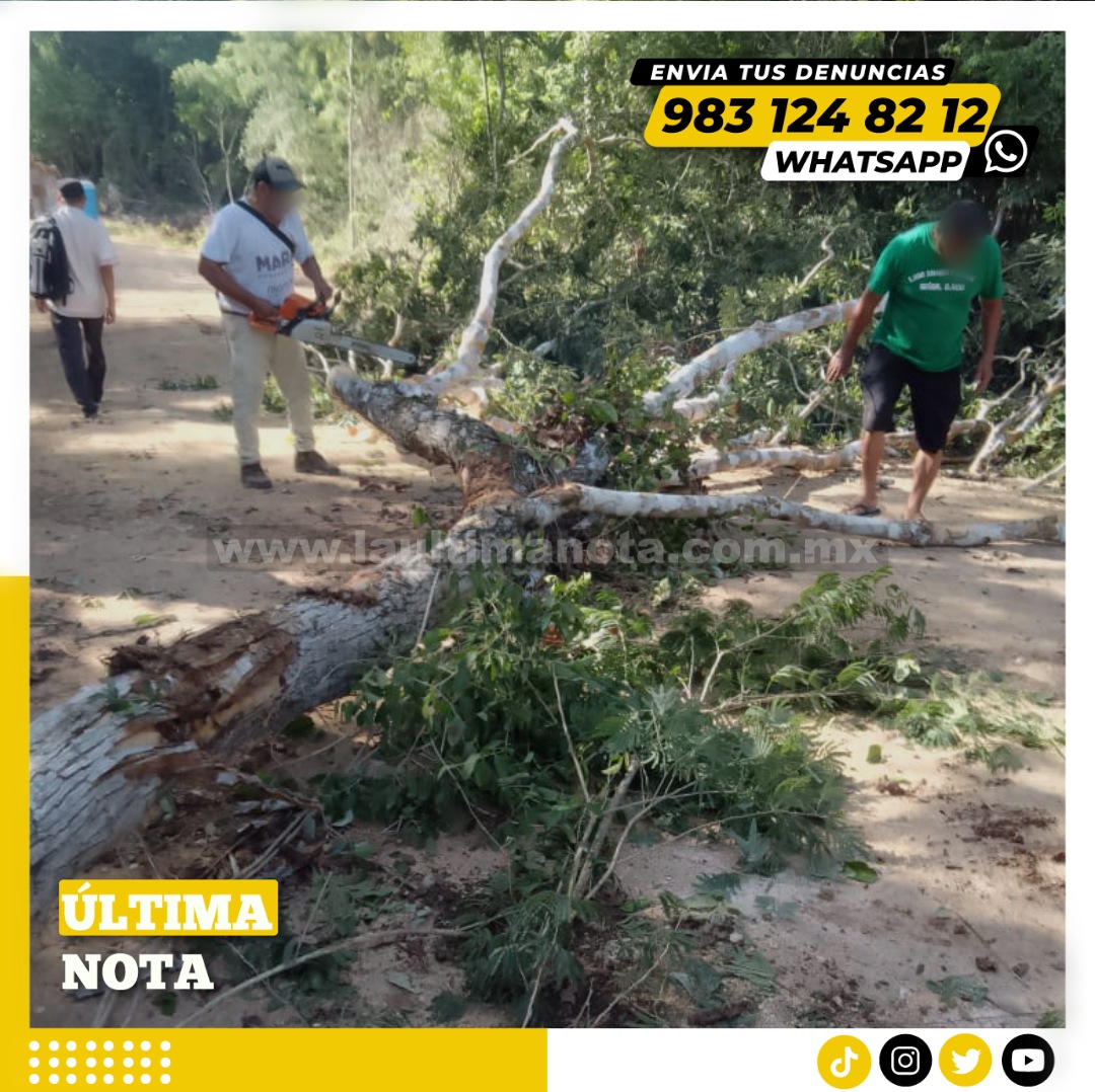 Aseguran que no hay conflicto en ejido de X-Maben con Tren Maya