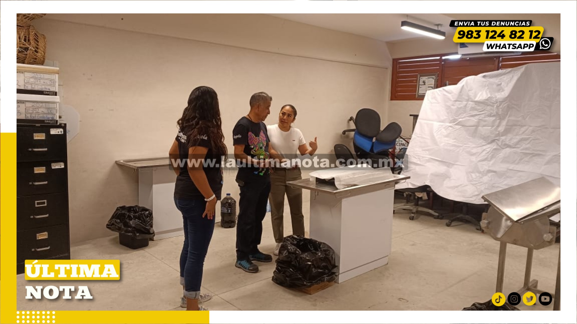 Van contra la fauna callejera, 100 animalitos entre perritos y gatitos serán esterilizados