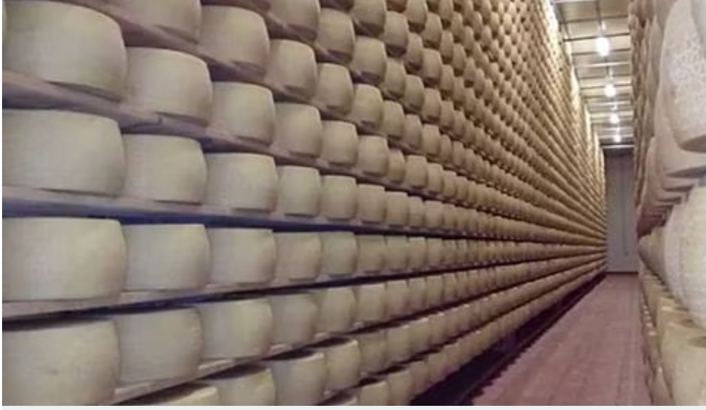 Muere empresario italiano tras ser aplastado por 25 mil quesos Grana Padano