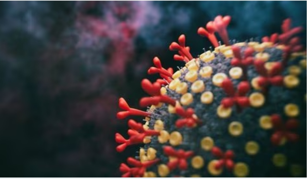 Lo que sabemos de la subvariante Eris EG.5.1 de Covid-19