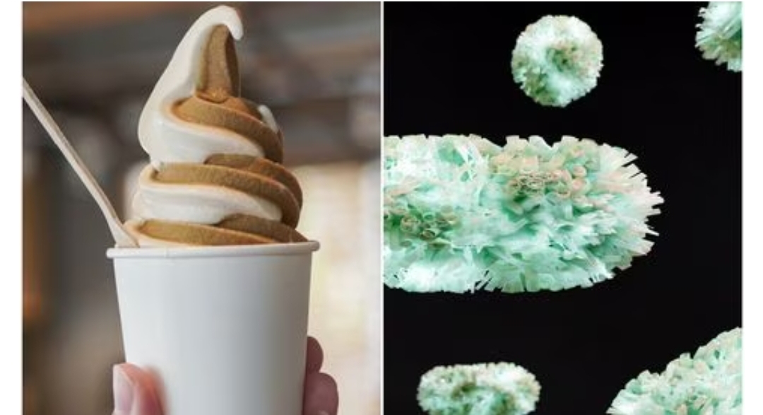 Cofepris alerta por helados estadounidenses con listeria que fueron distribuidos en México