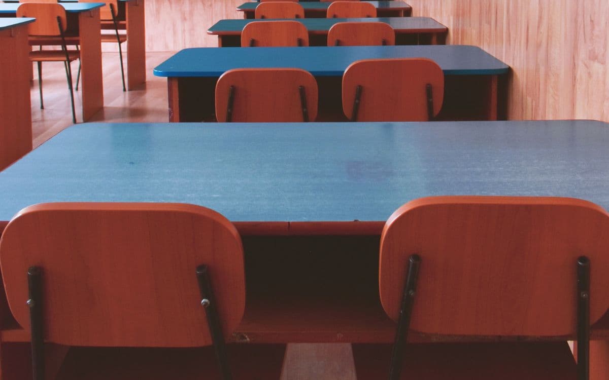 Chile: Detienen a profesor por dar hojas de coca a sus alumnos de 12 años