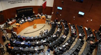 PRI pide comparecencia de titular de la SEP por los libros de texto gratuitos