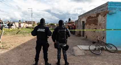 Abuelita muere tras brutal ataque de perros callejeros en Hidalgo