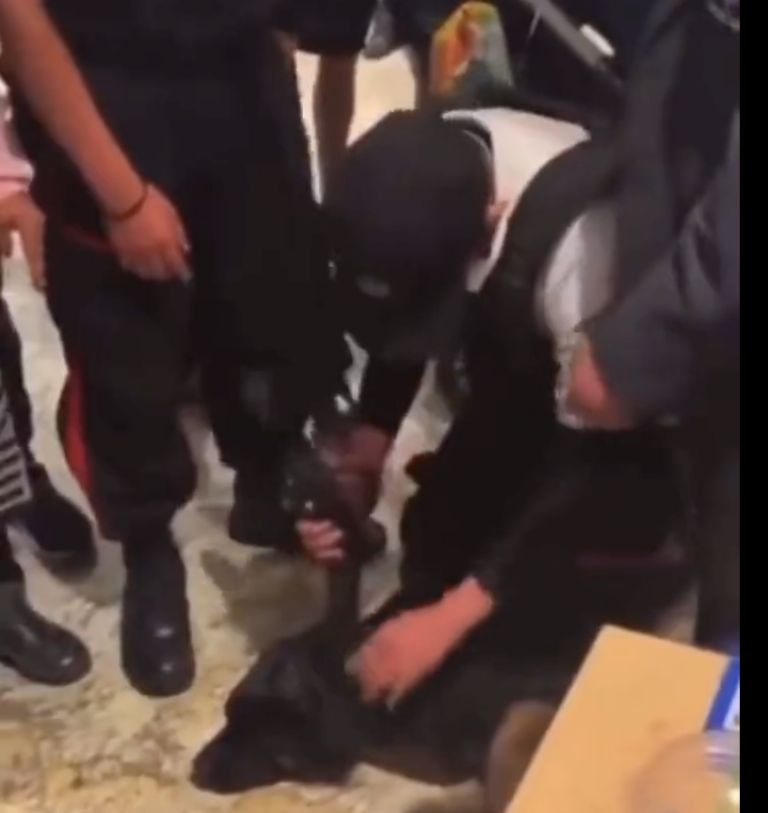 VIDEO :Perrito entró a una plaza comercial para protegerse de la lluvia y fue sometido por guardias de seguridad