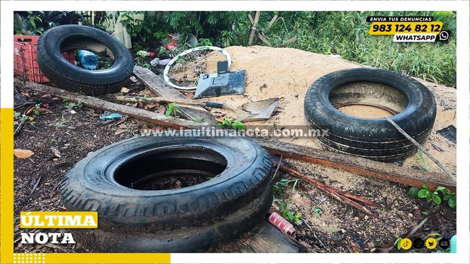 Alarman casos de dengue en la zona maya