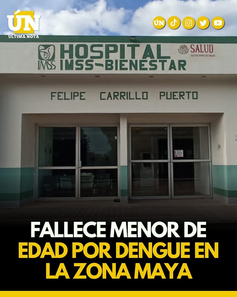 El dengue se lleva a un niño en Carrillo