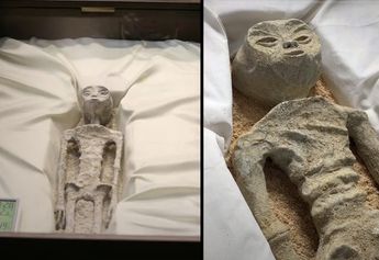 Chef crea pastel de los seres ‘no humanos’ presentados por Jaime Maussan y se hace viral