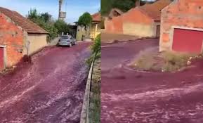 Río de vino tinto inunda poblado de Portugal: estallaron tanques de una destilería
