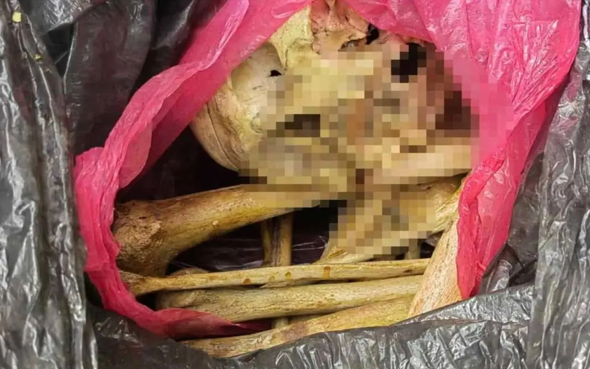 Encuentran huesos humanos en bodega de jurisdicción sanitaria de Nayarit