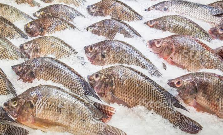 Bacteria “come carne”: Mexicana pierde brazos y piernas tras comer tilapia en California
