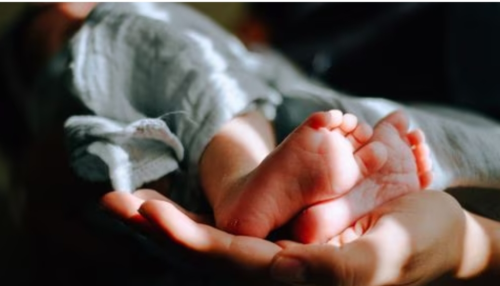 Cadáveres abandonados de 6 bebés aparecen en la entrada de un cementerio en Santo Domingo