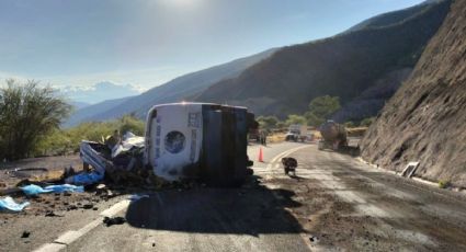 Mueren 17 migrantes tras volcadura de autobús en la autopista Oaxaca-Cuacnopalan