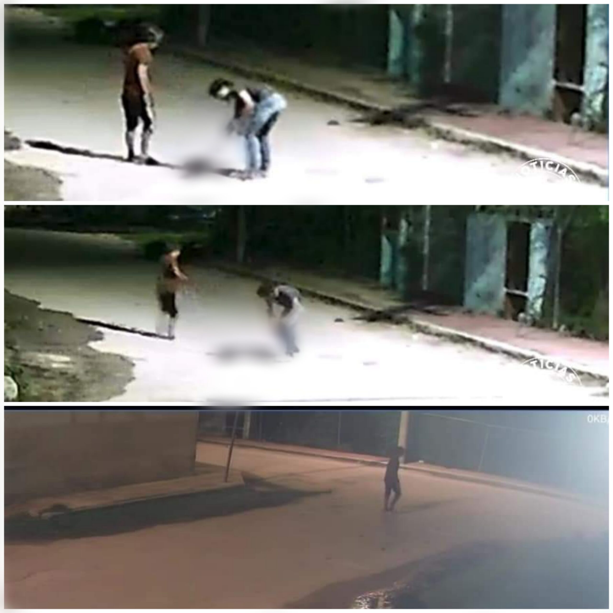 Menores de edad @sesin@n a un gatito en Yucatán