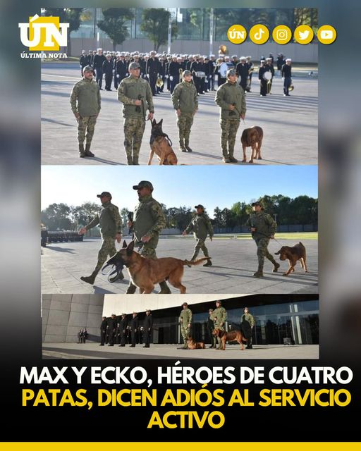 Max y Ecko, héroes de cuatro patas, dicen adiós al servicio activo