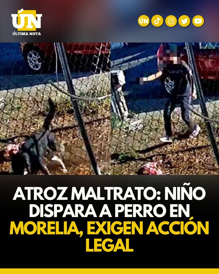 Atroz mąltrato: Niño disparæ a perro en Morelia, exige acción legal