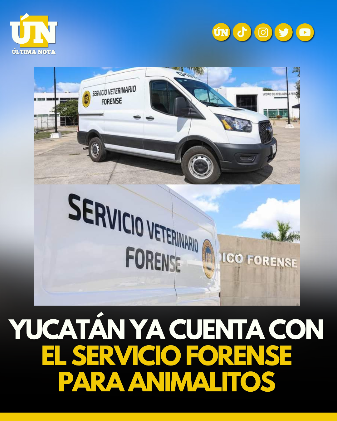 Yucatán ya cuenta con servicio Forense para animales&nbsp;