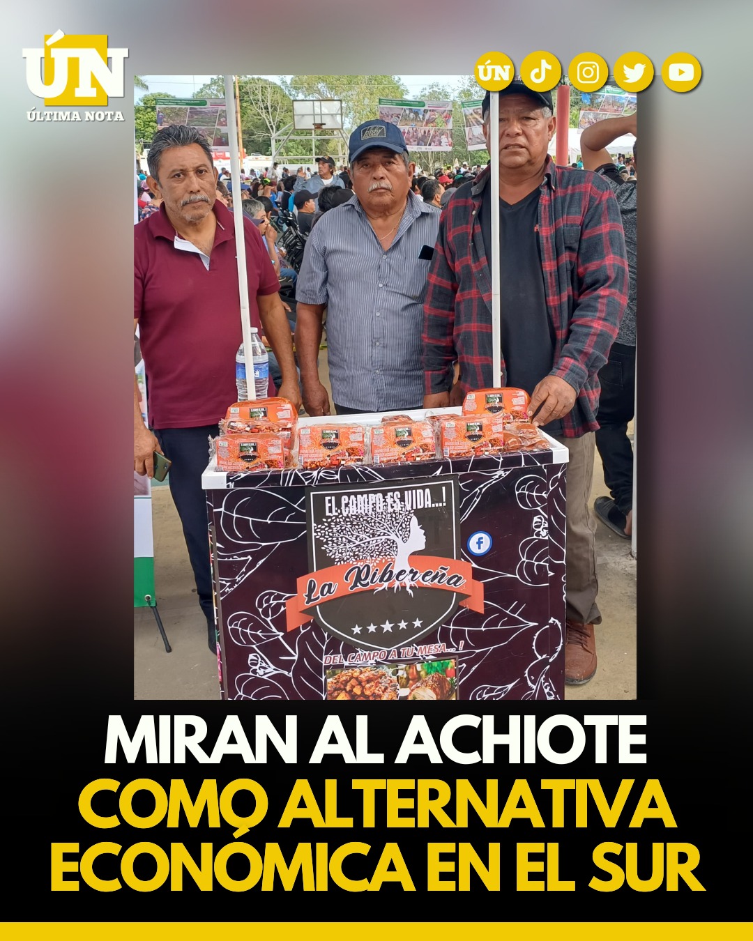 Miran al achiote como alternativa económica en el Sur