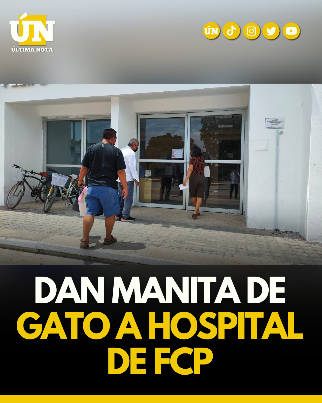 Dan manita de gato a hospital de FCP