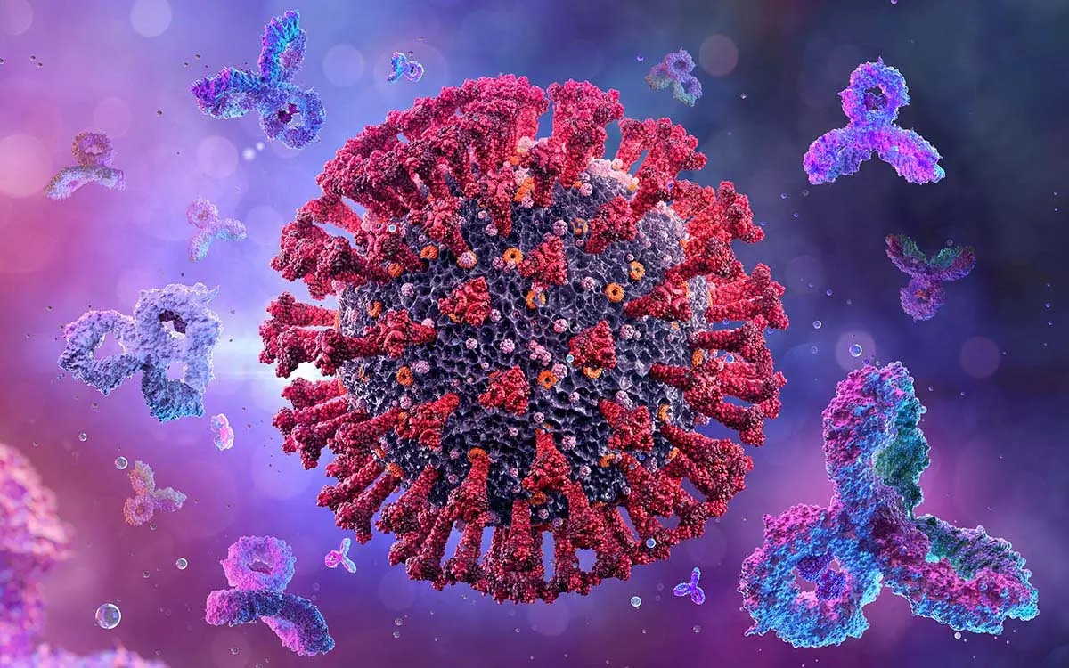 Un nuevo anticuerpo logra bloquear todas las variantes del SARS-CoV-2 en el laboratorio