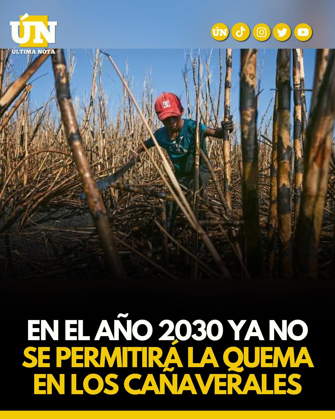 En el año 2030 ya no se permitirá la quema en los cañaverales