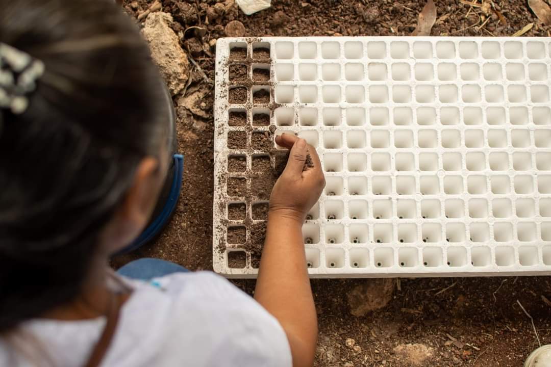 INMAYA imparte el programa “Implementación de Huertos Escolares y Elaboración de Compostas” en escuelas primarias de comunidades indígenas