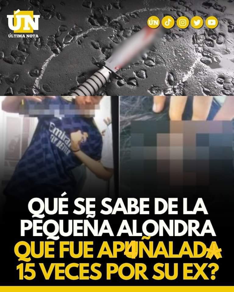 Qué se sabe de la pequeña alondra que fue 4puñalada 15 veces por su ex?