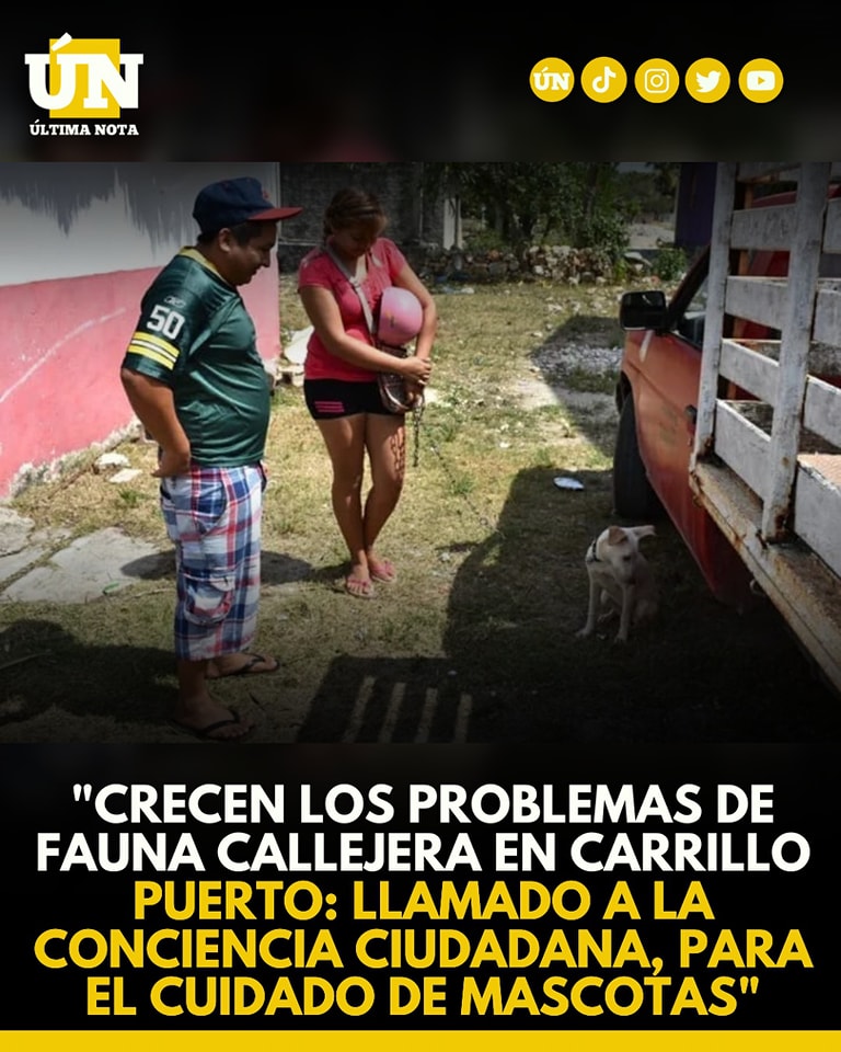 Crecen los problemas de fauna callejera en Carrillo: Llamado a la conciencia ciudadana para el cuidado de mascotas”