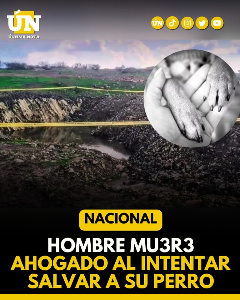 Hombre Mu3r3 Ahog4do al Intentar Salvar a su Perro