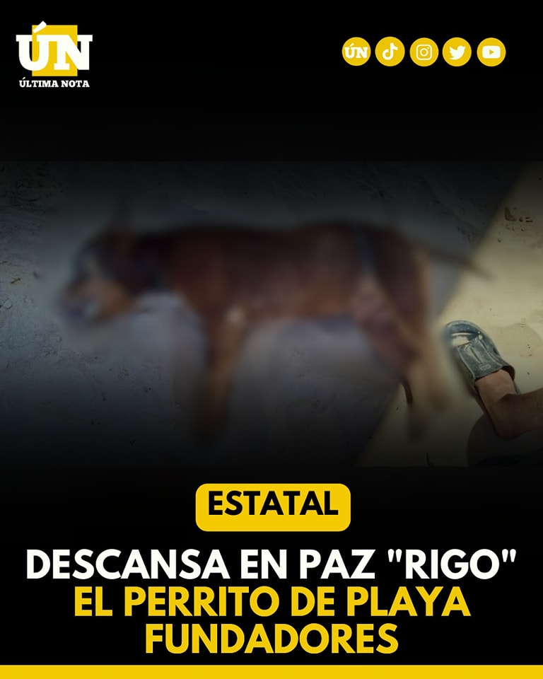 Hombre Ah0ga a su propio perro en playa del Carmen