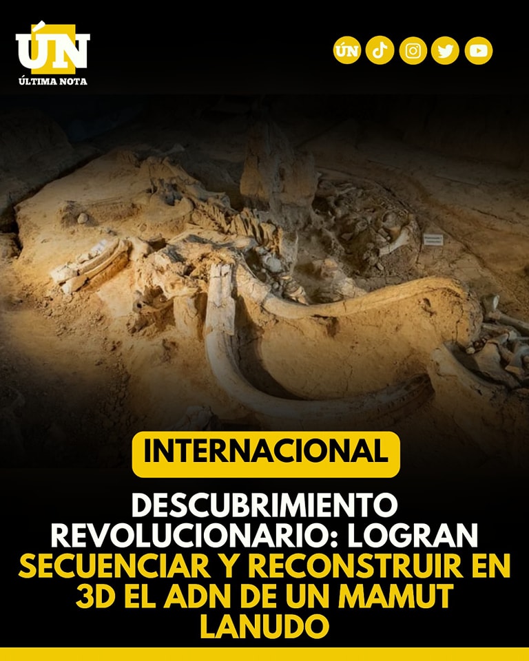 Logran secuenciar y reconstruir en 3D el ADN de un mamut lanudo