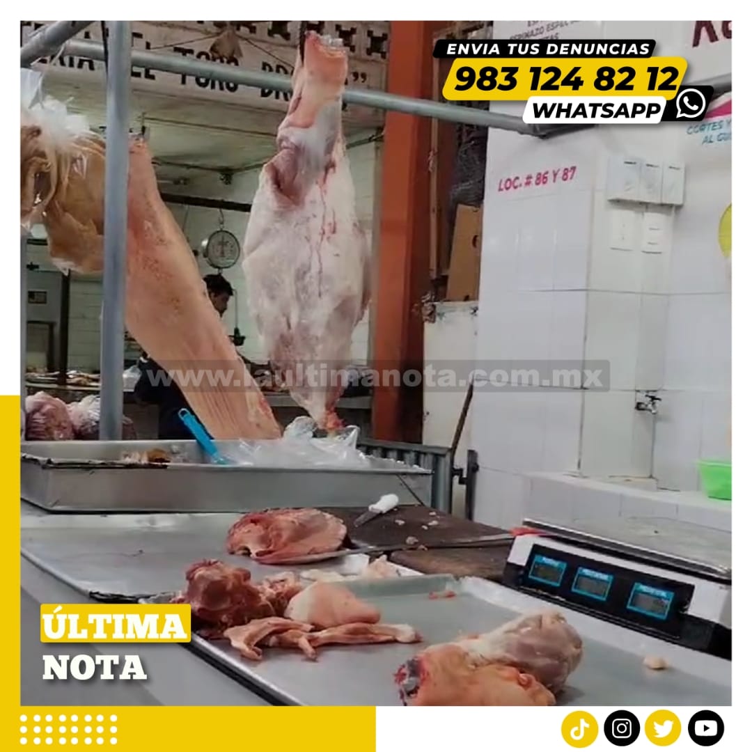 Incremento en el Precio de la Carne de Cerdo en la Zona Maya