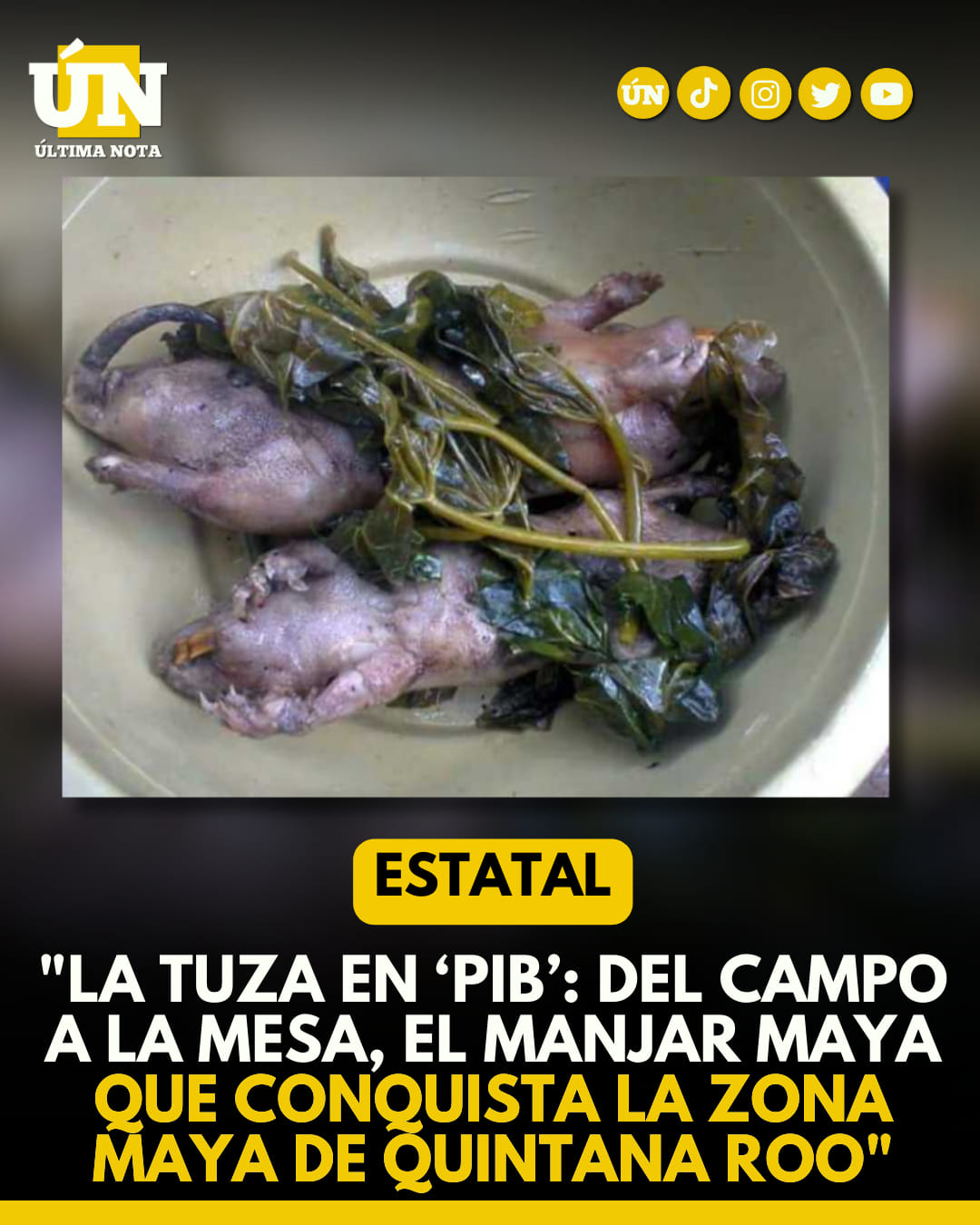 La tuza en ‘pib’: Del campo a la mesa, el manjar maya que conquista la Zona Maya de Quintana Roo