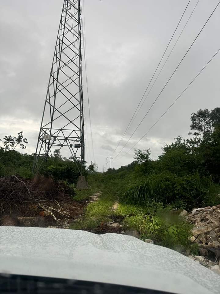 CFE restablece 19% del suministro eléctrico en Quintana Roo