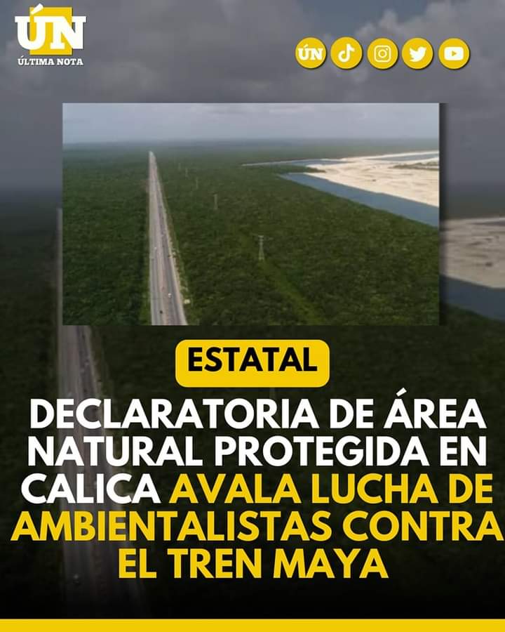 Declaratoria de área natural protegida en Calica avala lucha de ambientalistas contra el Tren Maya