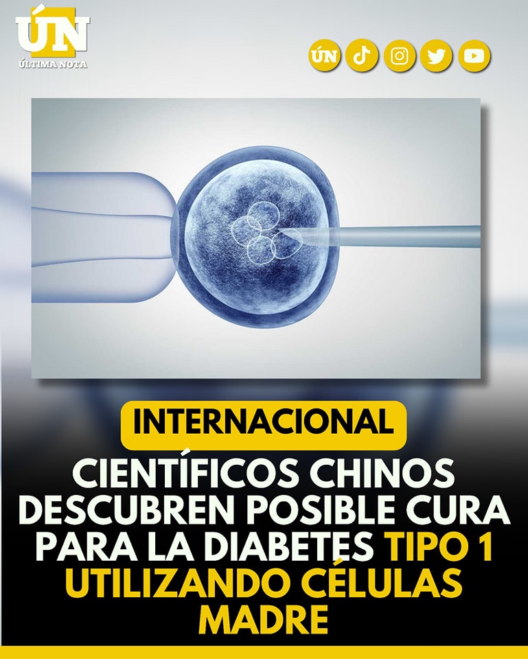 Científicos chinos descubren posible cura para la diabetes tipo 1 utilizando células madre #Internacional