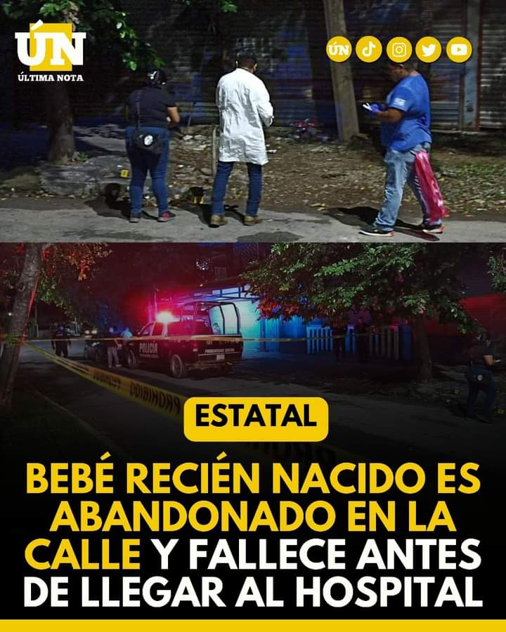 Tragedia en Chetumal: Abandonan a un bebé recién nacido que falleció camino al hospital.