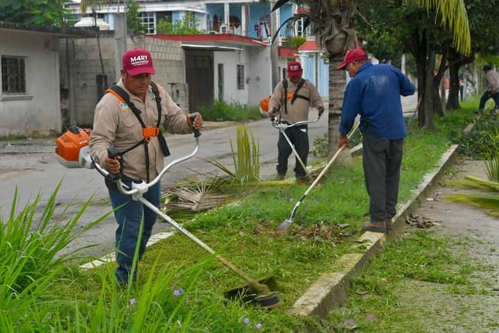 Avenida Santiago Pacheco recibe limpieza y mantenimiento.