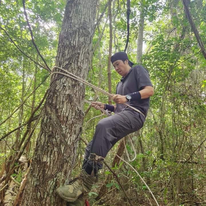 Los chicleros mayas asombran a japoneses con la técnica ancestral de la selva maya