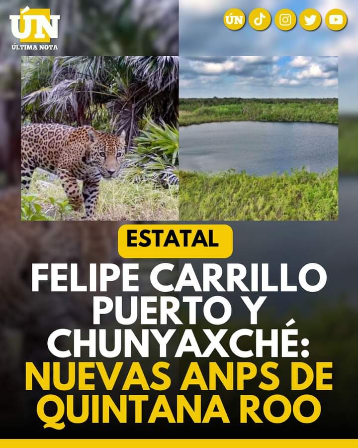 FelipeCarrilloPuerto y Chunyaxché Tiene Nuevas Áreas Naturales Protegidas en Quintana Roo