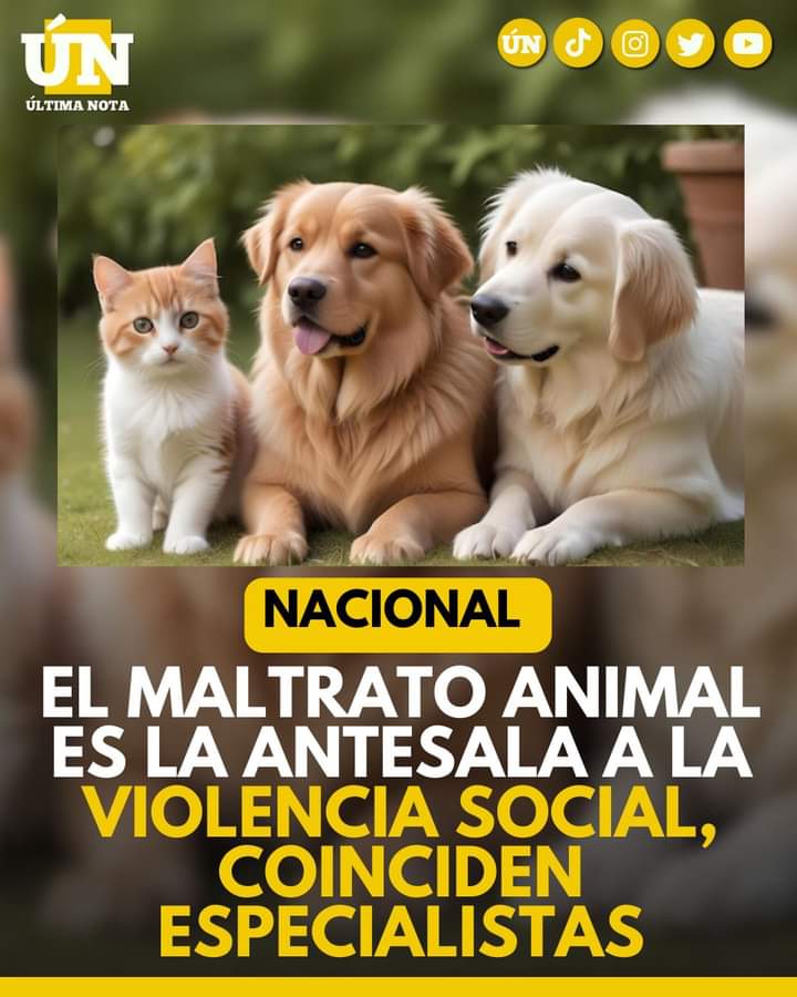 El Maltrat0 Animal como Indicador de Violencia Social es un Llamado a la Conciencia