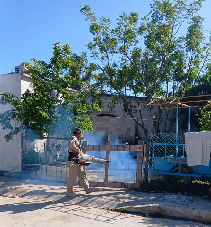 Quintana Roo se mantiene lejos de los primeros lugares de contagios de dengue gracias a intensas campañas de prevención