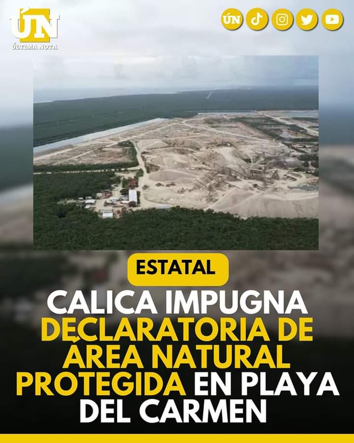 Calica Impugna Declaratoria de Área Natural Protegida en Playa del Carmen