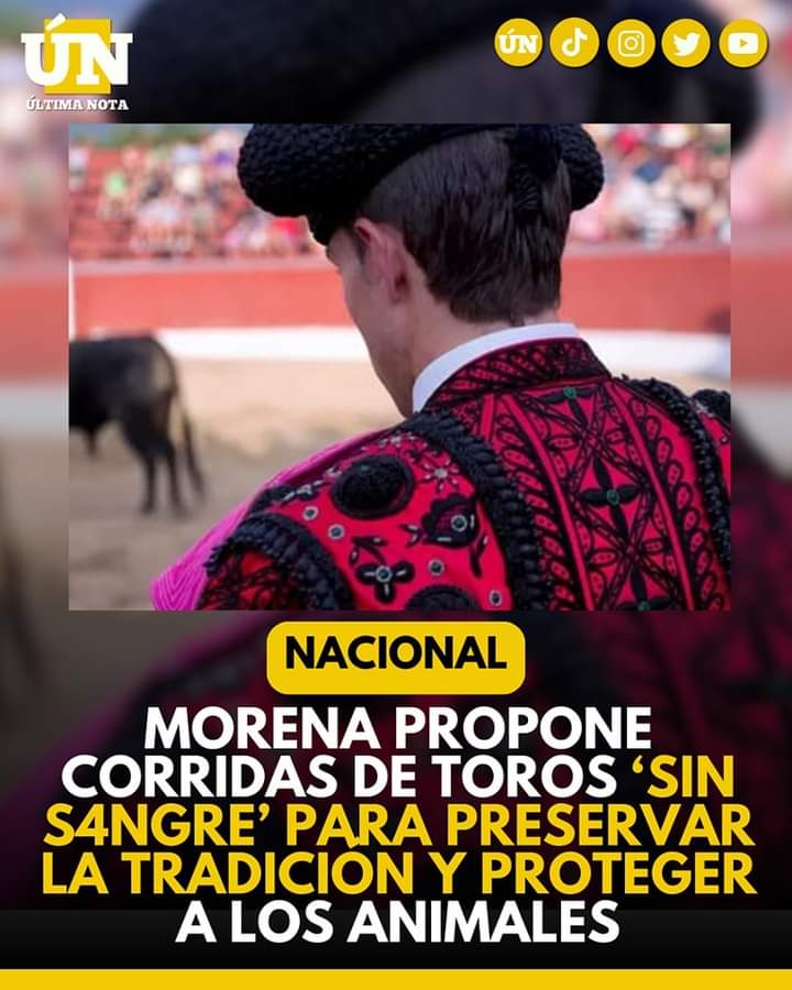 Morena propone corridas de toros ‘sin s4ngre’ para preservar la tradición y proteger a los animales