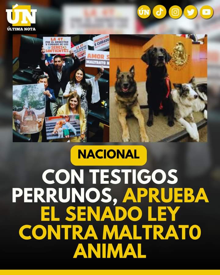Con “lomitos” como testigos, el Senado aprueba la ley contra el maltrat0 animal